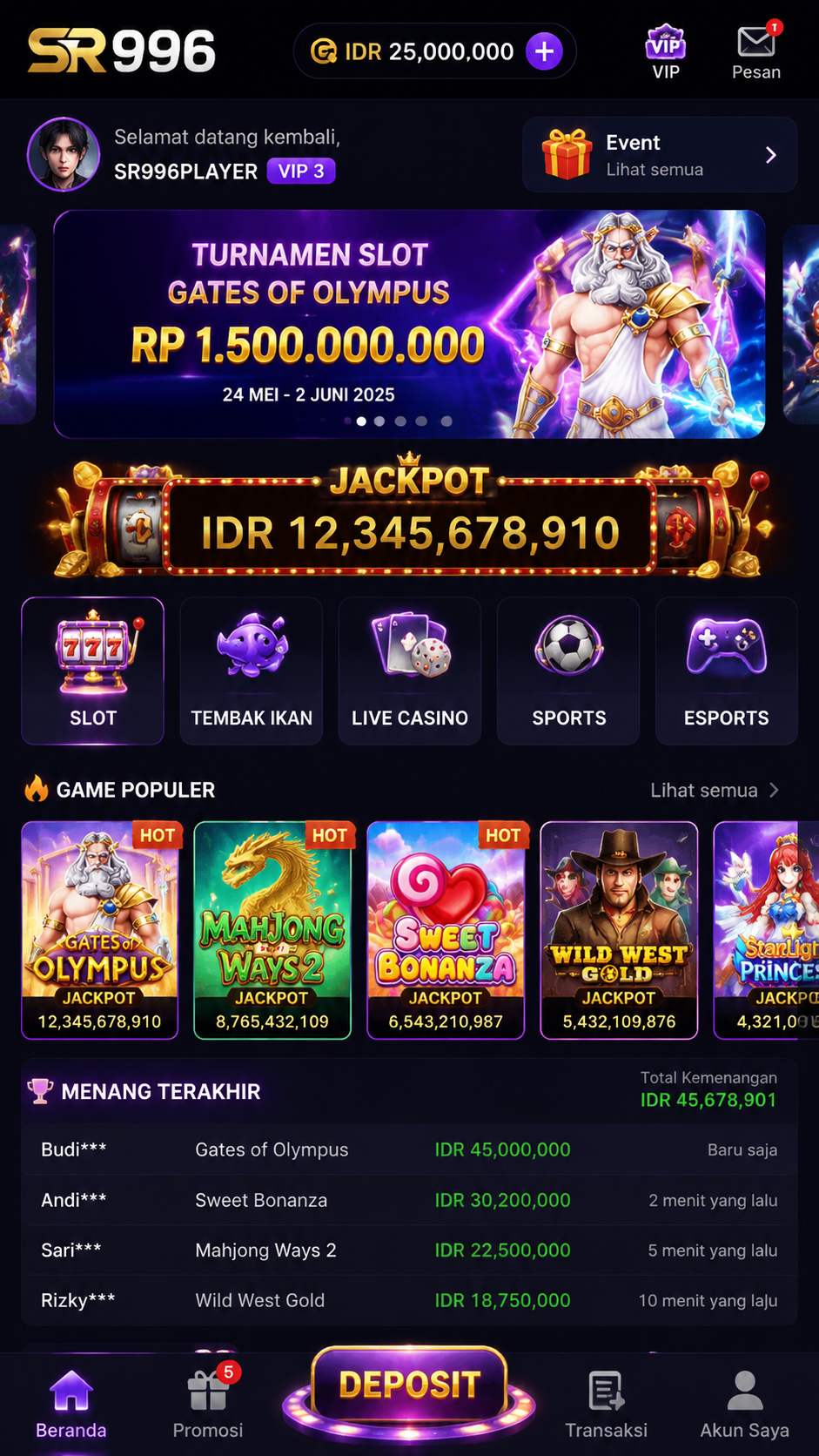 Screenshot 1 sr996